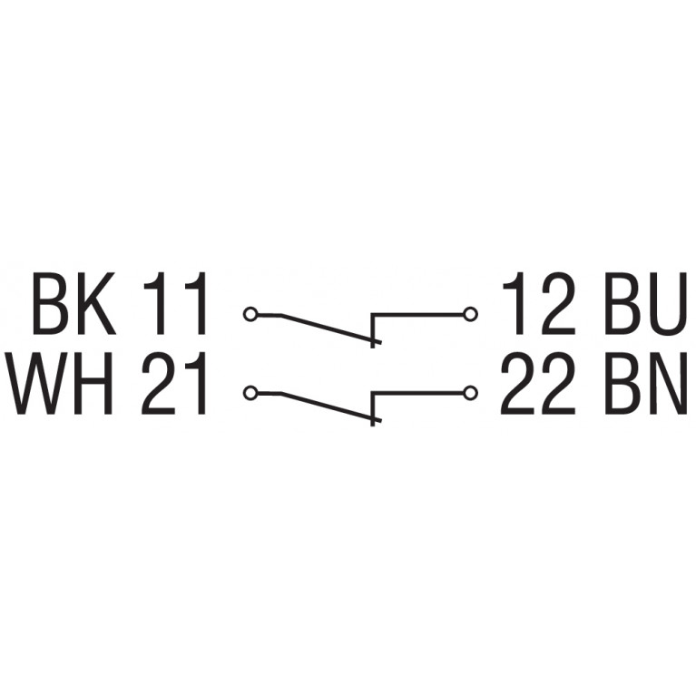 Магнитный датчик BNS 33-02Z-2187
