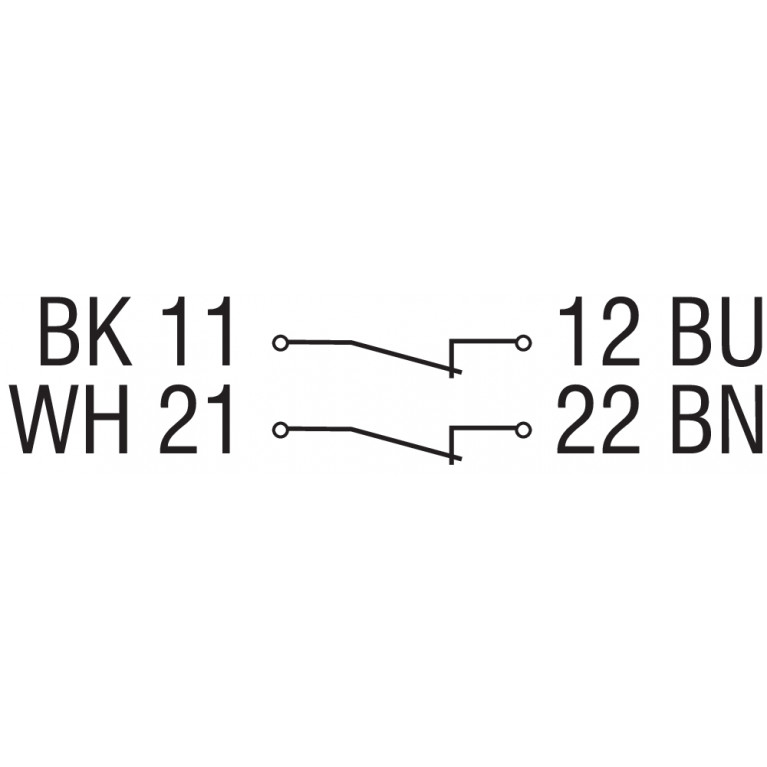 Магнитный датчик BNS 180-02Z