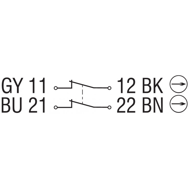 Электромагнитный блокиратор AZ 17-02ZRK-2243-1 5.0M