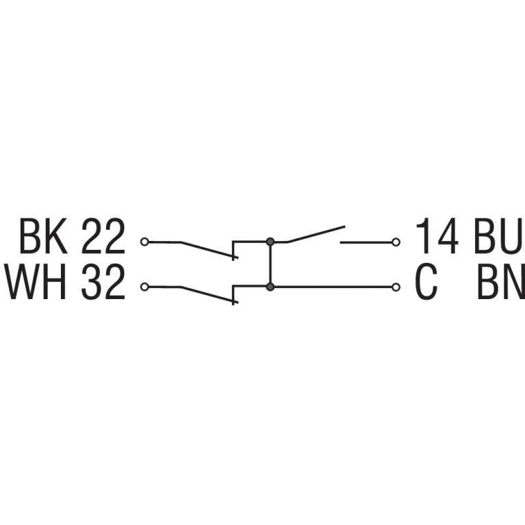 Магнитный датчик BNS 303-12Z