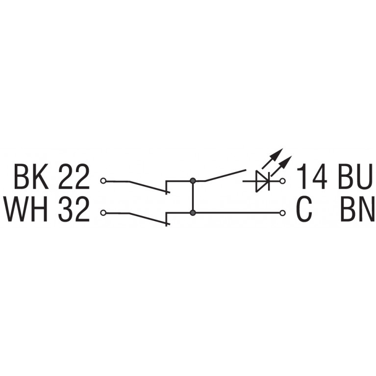 Магнитный датчик BNS 250-12ZG 5,0M