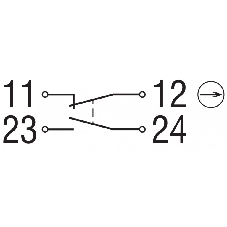 Замок безопасности SHGV/SR/ESS21S/xxxoo/oo/103