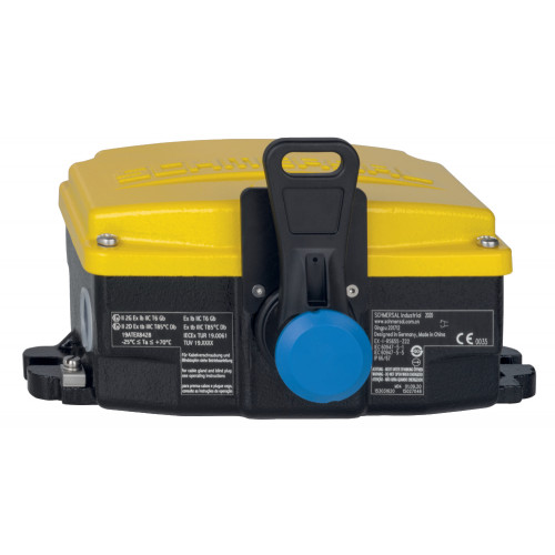 Тросовый выключатель EX-RS655-Z22-DS-2D